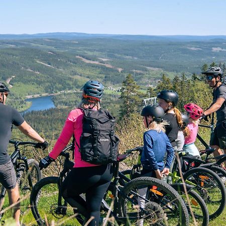 Lyxig Stuga Pa Branaesberget Sysslebäck 外观 照片