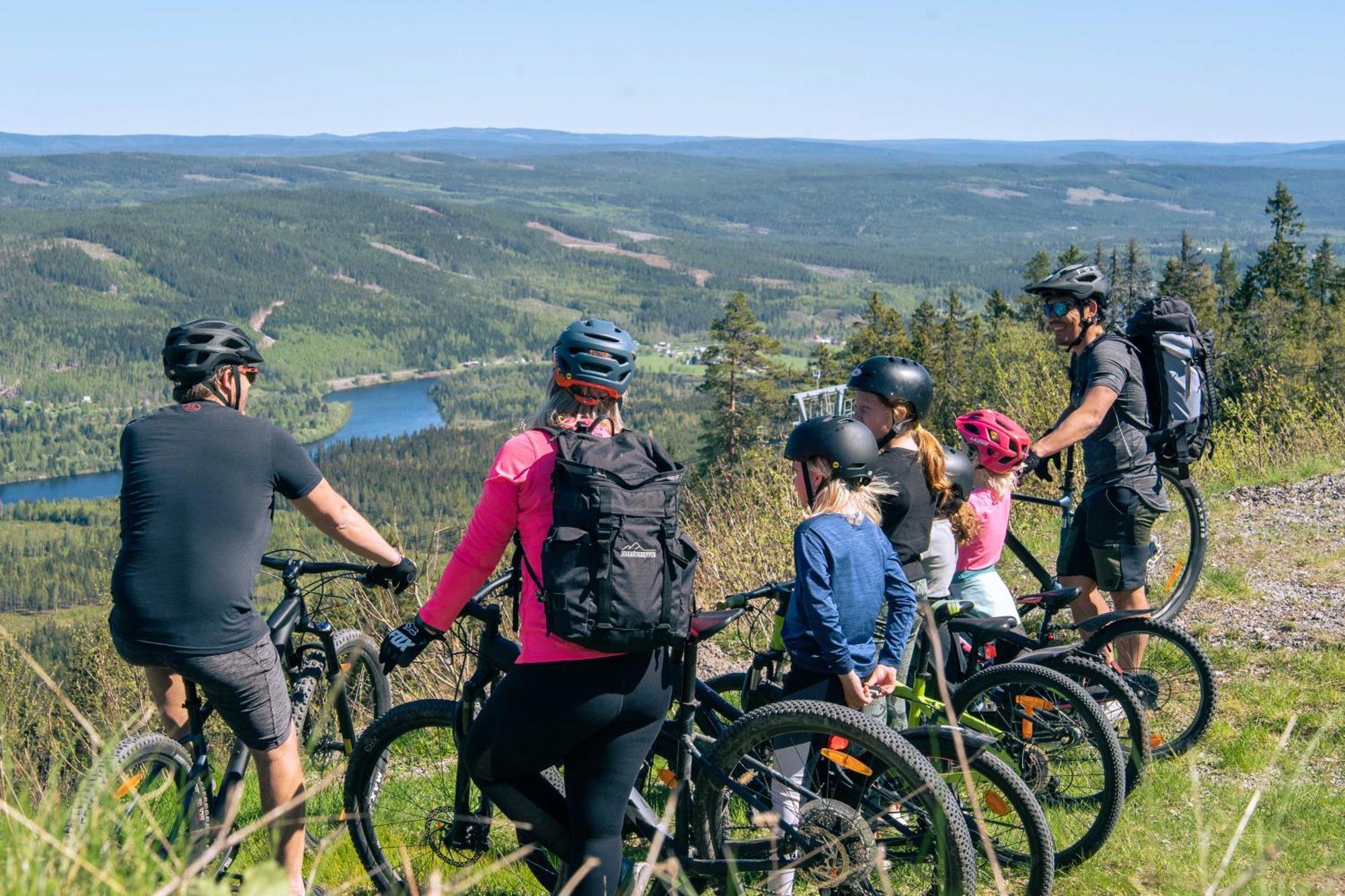 Lyxig Stuga Pa Branaesberget Sysslebäck 外观 照片